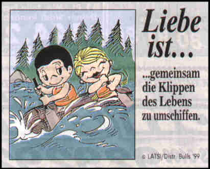 liebe_ist_gemeinsam_die_klippen_des_lebens_zu....jpg