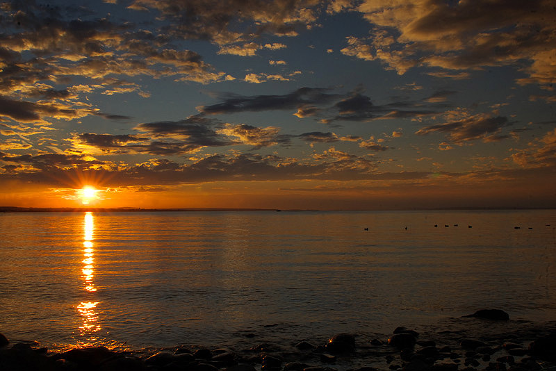 Bodensee.jpg