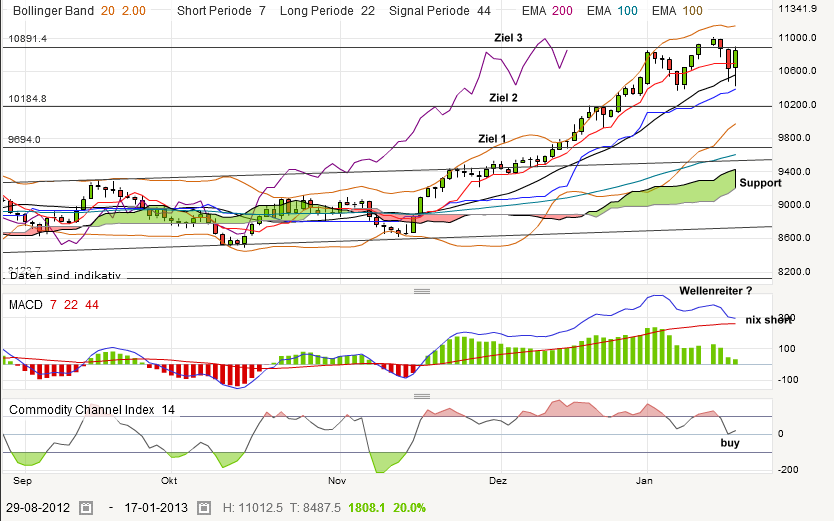 nikkei20130117.png