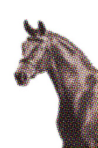 horse.jpg