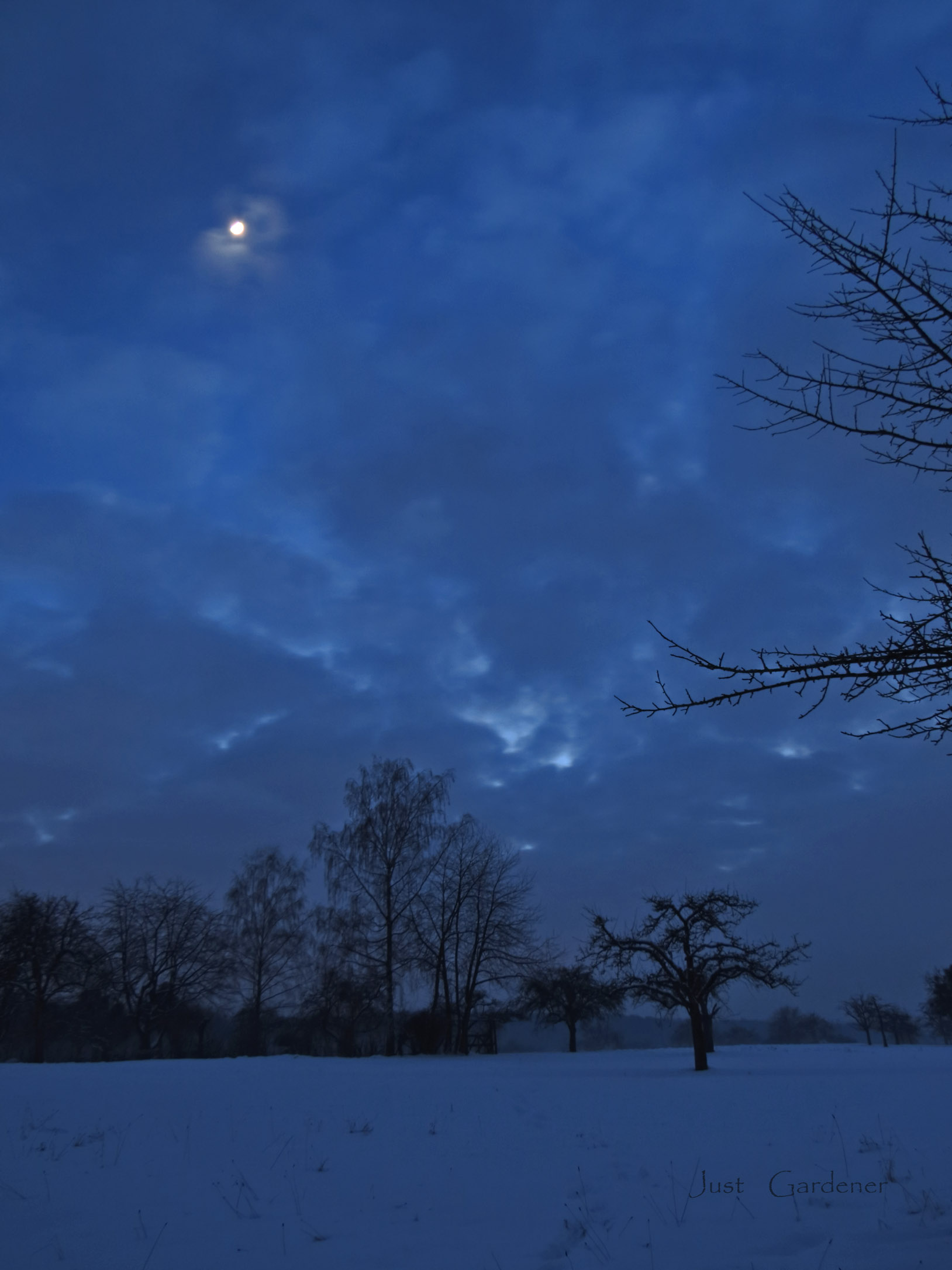 001_obstbaumwiese-nd8-05.jpg