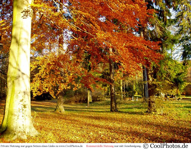 Herbstsonne.jpg