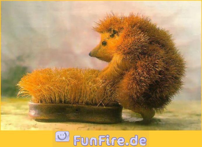 geiler-igel.jpg