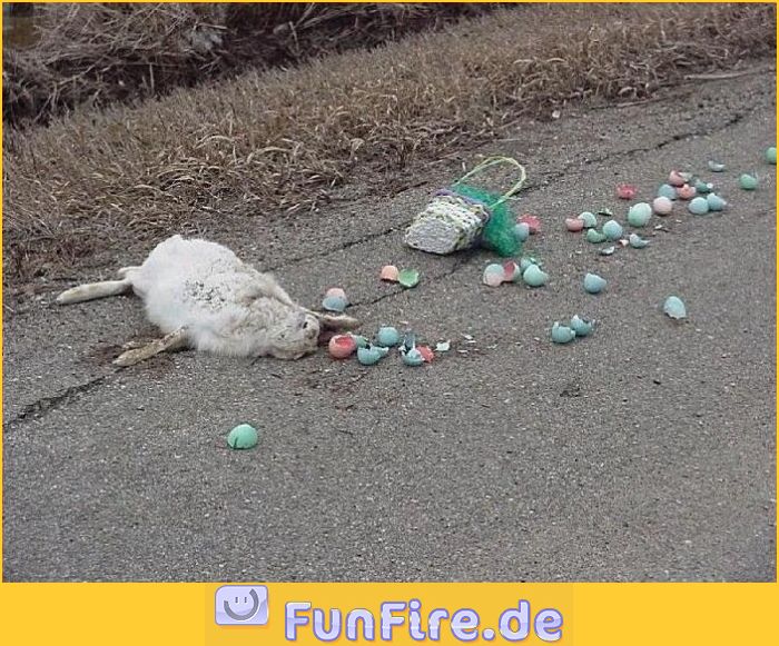 der_osterhase_ist_tot.jpg