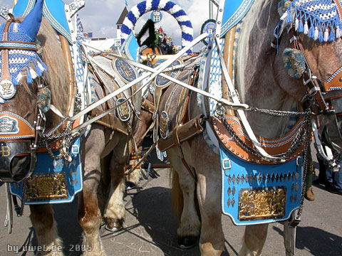 wiesn05_uwee6106.jpg