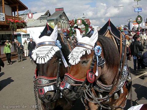 wiesn05_uwee6114.jpg