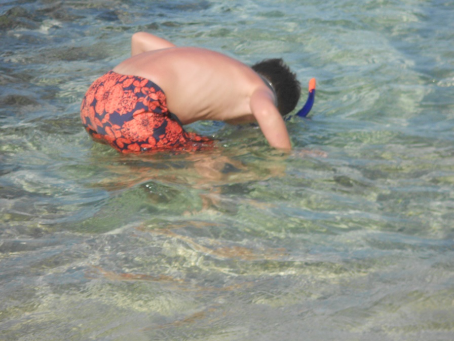 dscn0112.jpg