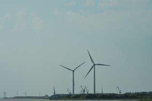 201.jpg