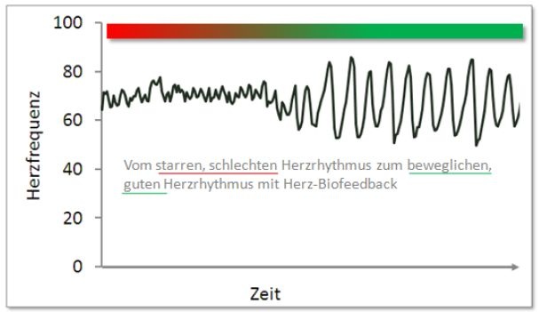 fannies_herz_schlaegt.jpg