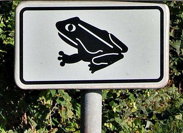 schildkroete-a20354190.jpg