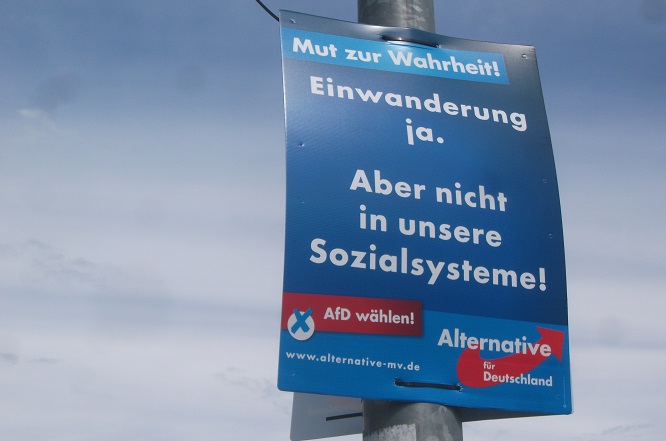 afd_plakat_einwanderung.jpg