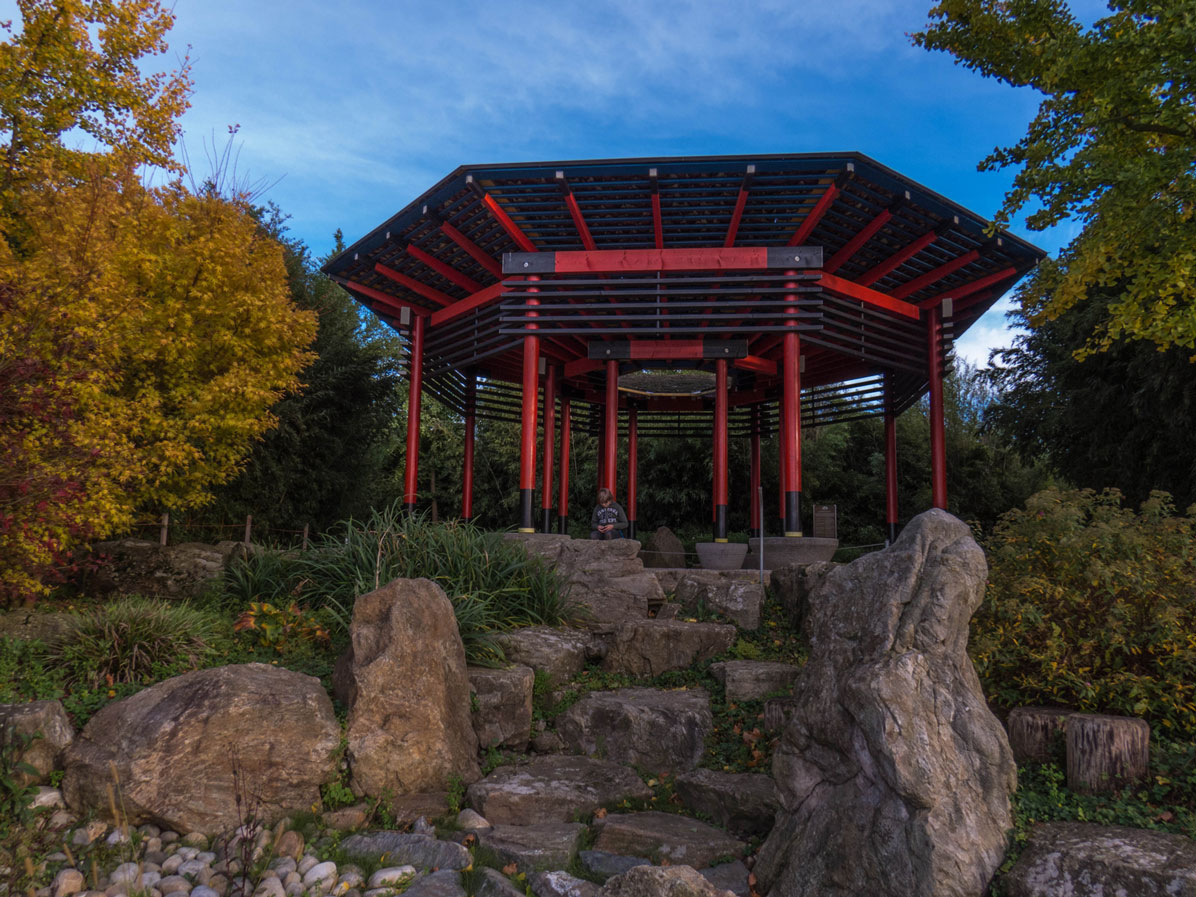 japanischer-garten-(1-von-1.jpg