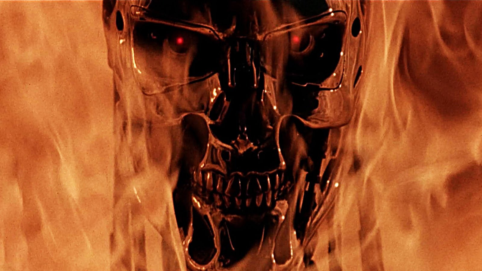 terminator_bild1.jpg