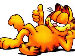 garfield_ok.jpg