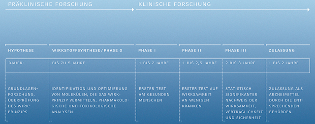 arzneimittelentwicklung_phasen.jpg