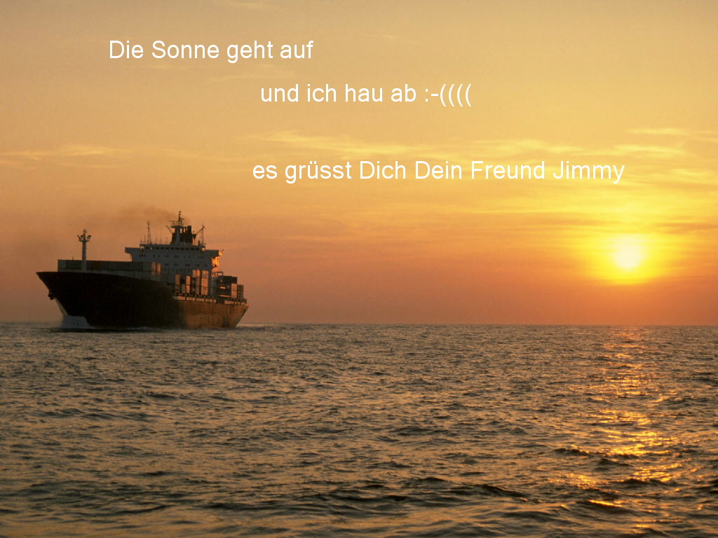 Container_ship_at_sunset_für_denkidee.JPG