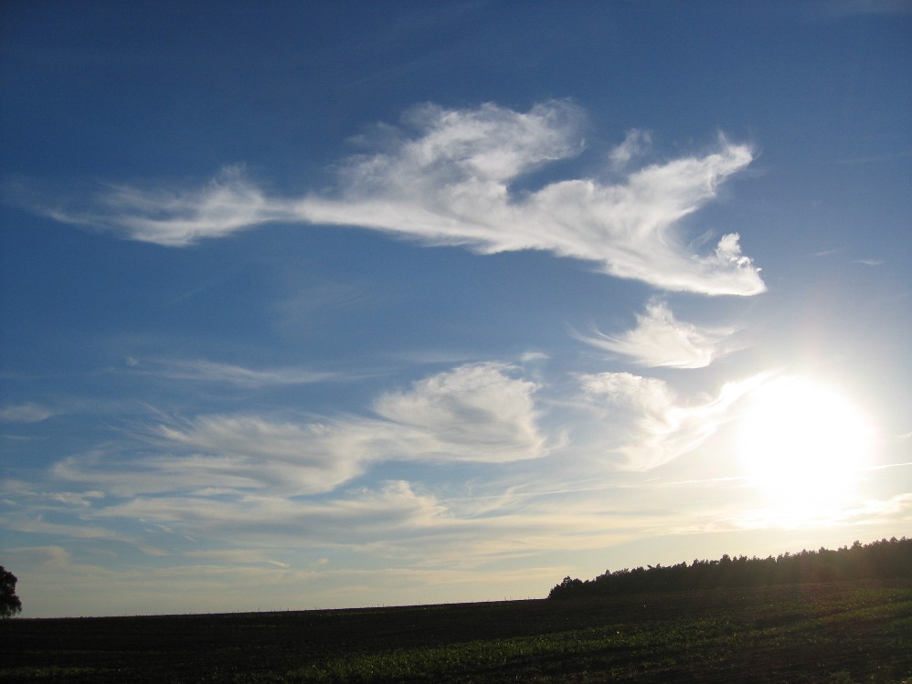 Landschaft.jpg