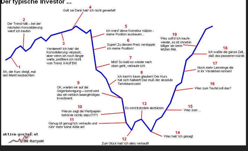 der_typische_investor.png