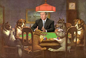 bushpoker.jpeg