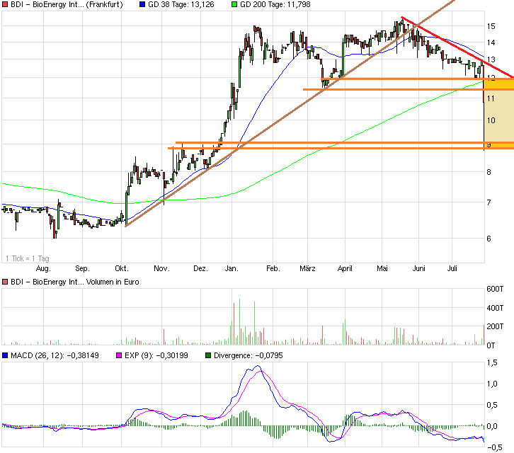 chart_year_bdi-bioenergyinternational.png
