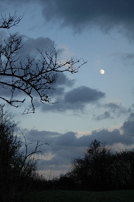DSC_0094n1.JPG