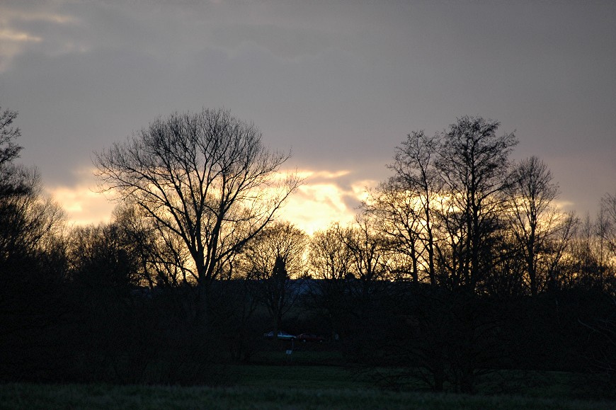 DSC_0087n1.JPG