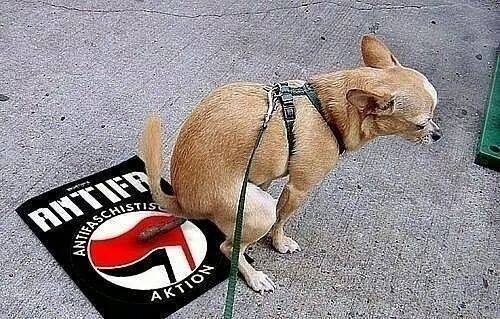 antifa.jpg