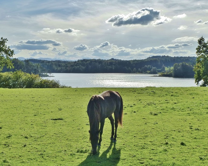 gro__er_ostersee_03_-_kopie.jpg