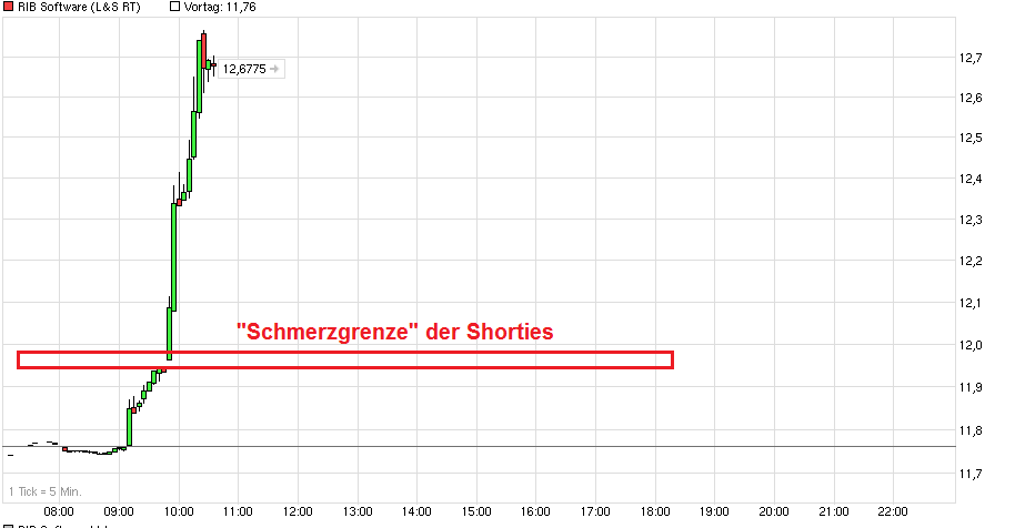 chart_intraday_ribsoftware.png