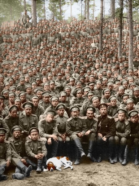 fql8c.jpg