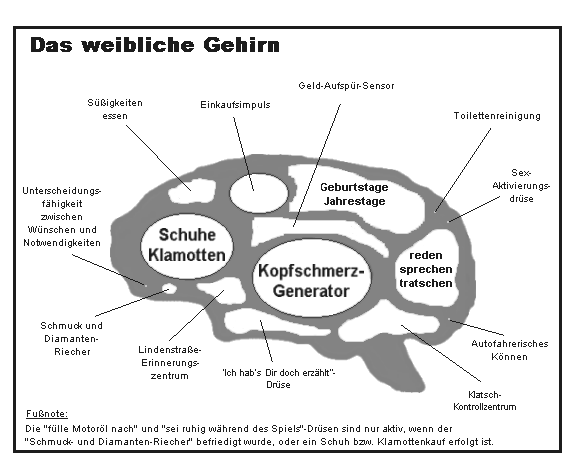 weibliches%20Gehirn.gif