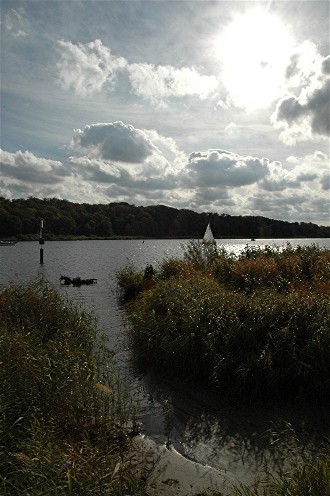 DSC_0012-1.JPG