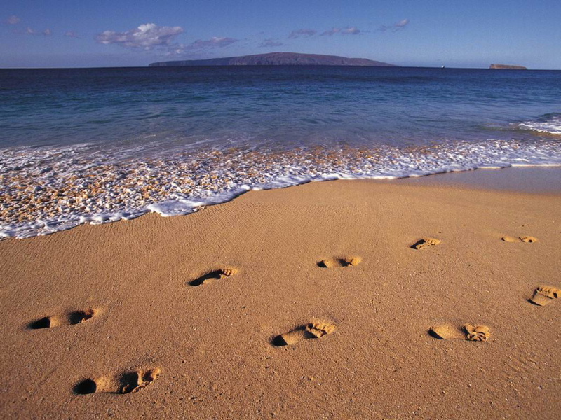 Footprints_on_the_Beach.jpg