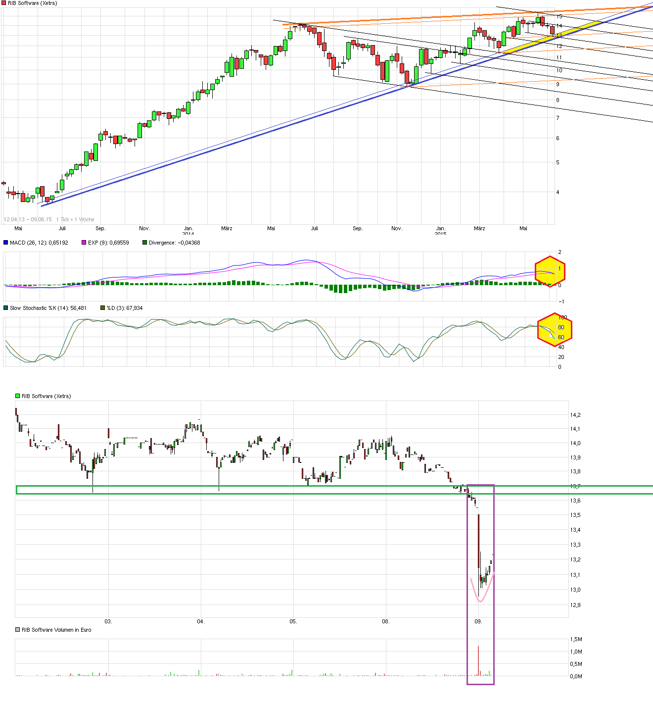 chart_free_ribsoftware---.png