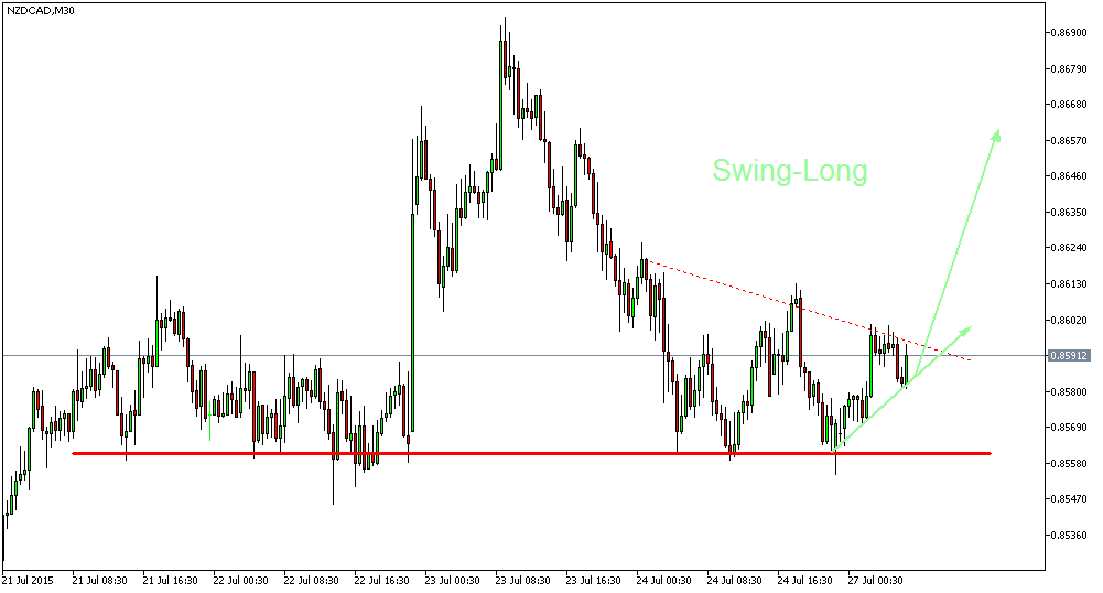 nzdcadm30.png