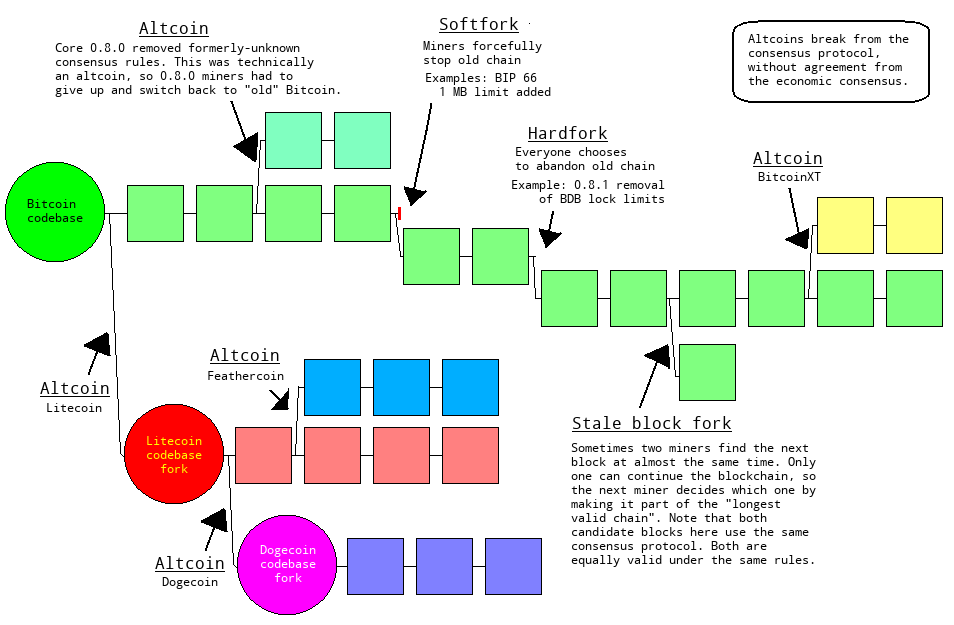 forks-and-altcoins.png