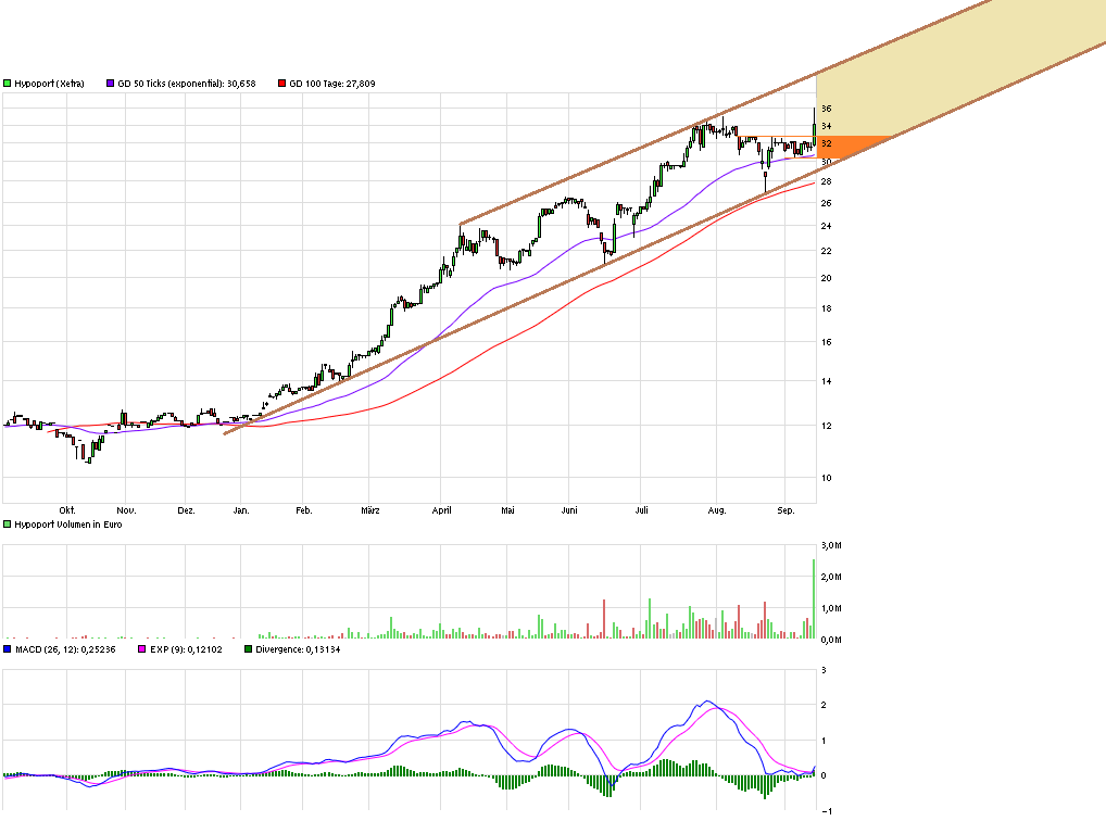 chart_year_hypoport.png