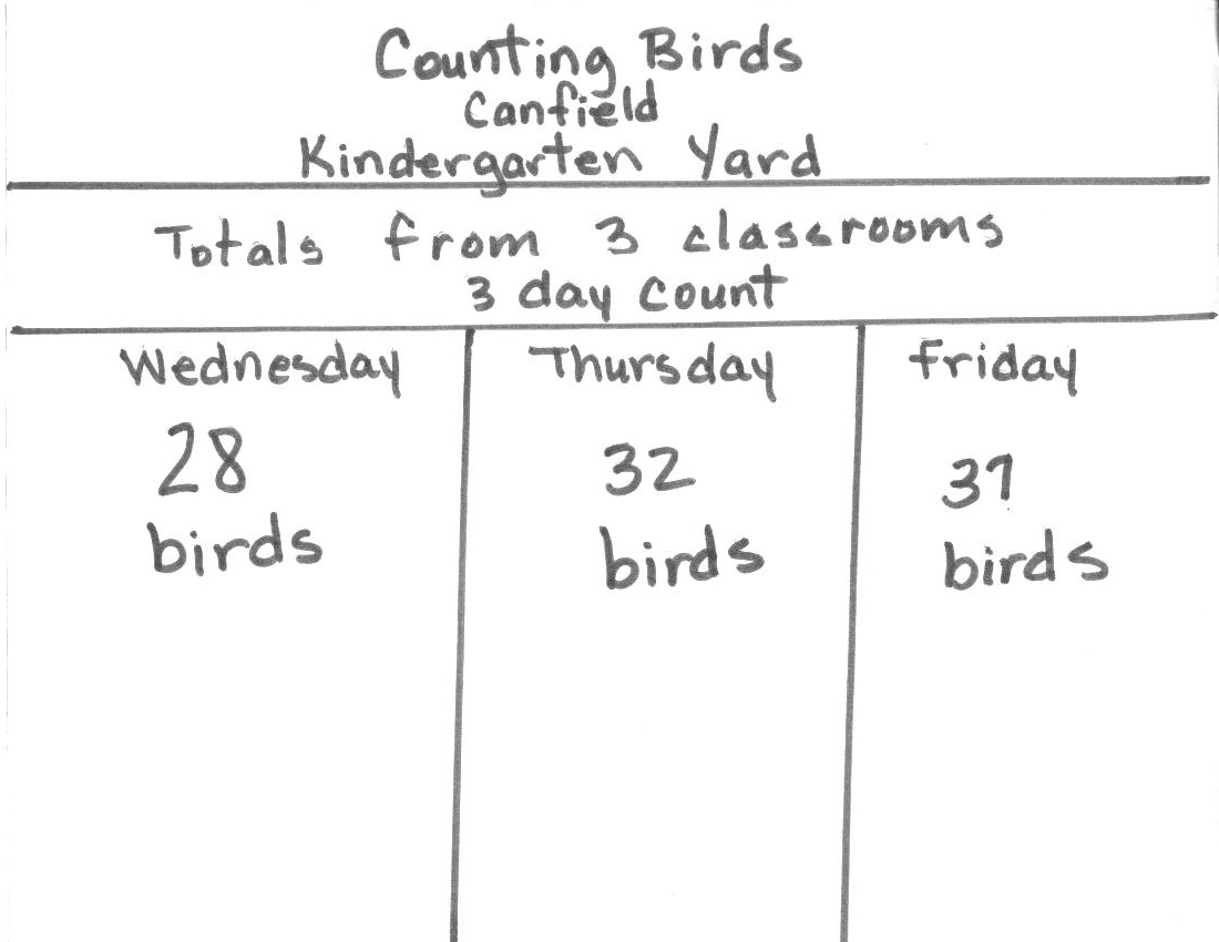 kinderchart.jpg