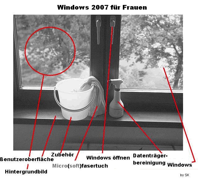 Windows-f-Frauen.jpg