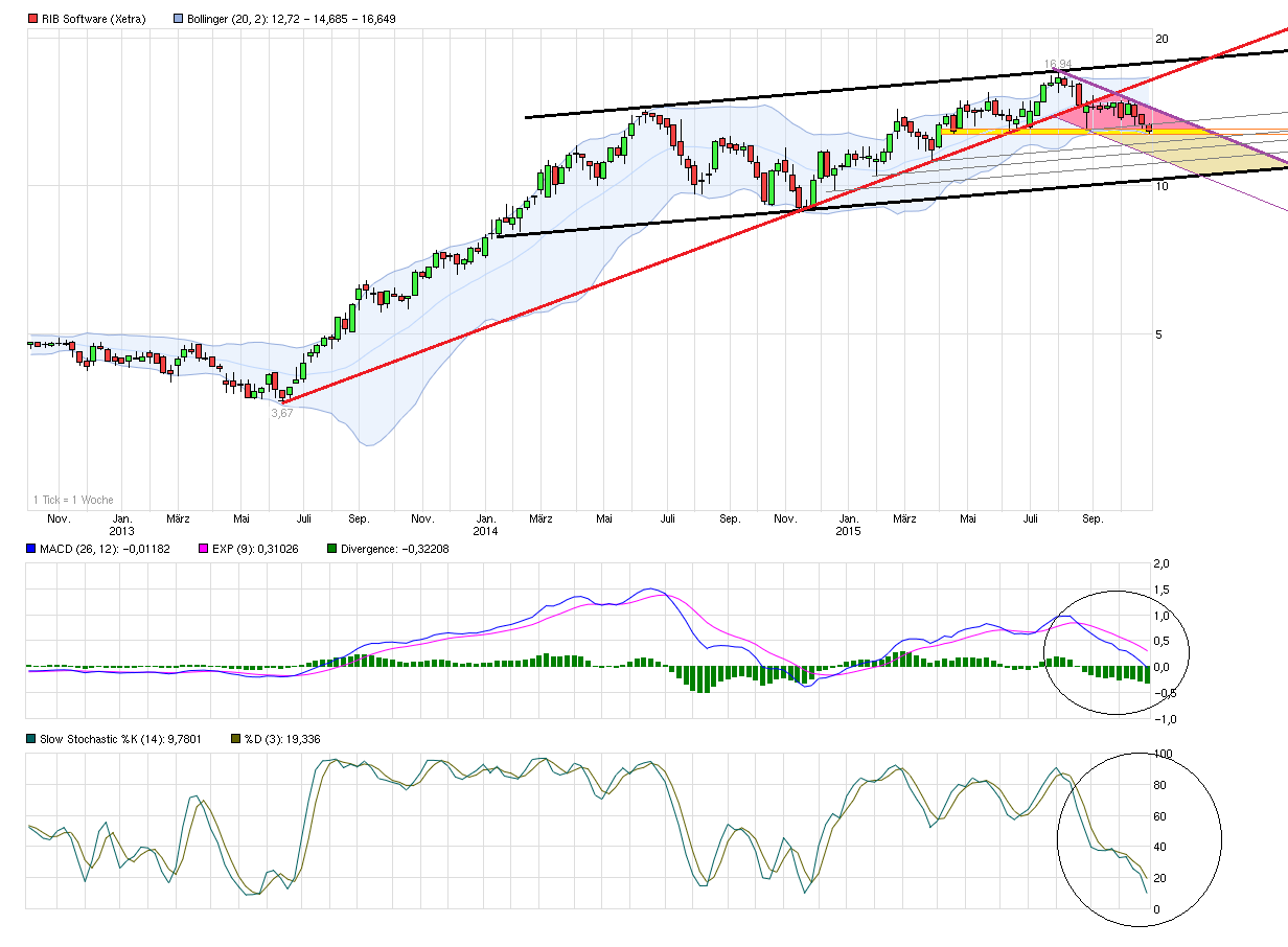 chart_3years_ribsoftware.png