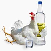 180px-blindes_huhn.jpg