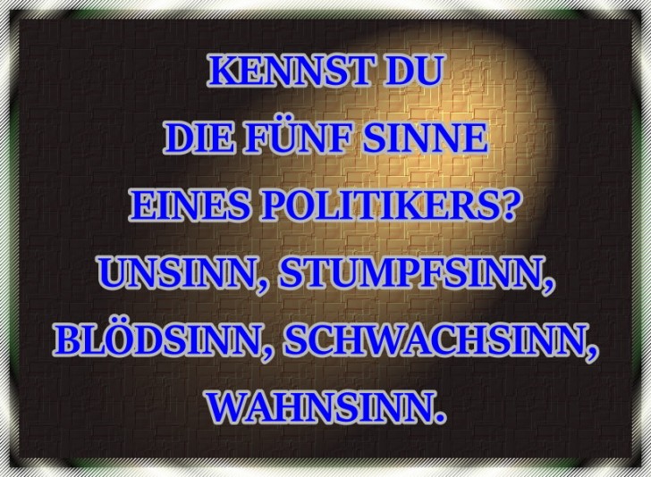 die-fuenf-sinne-eines-politikers.jpg