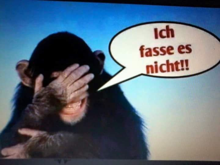 affe_3.jpg