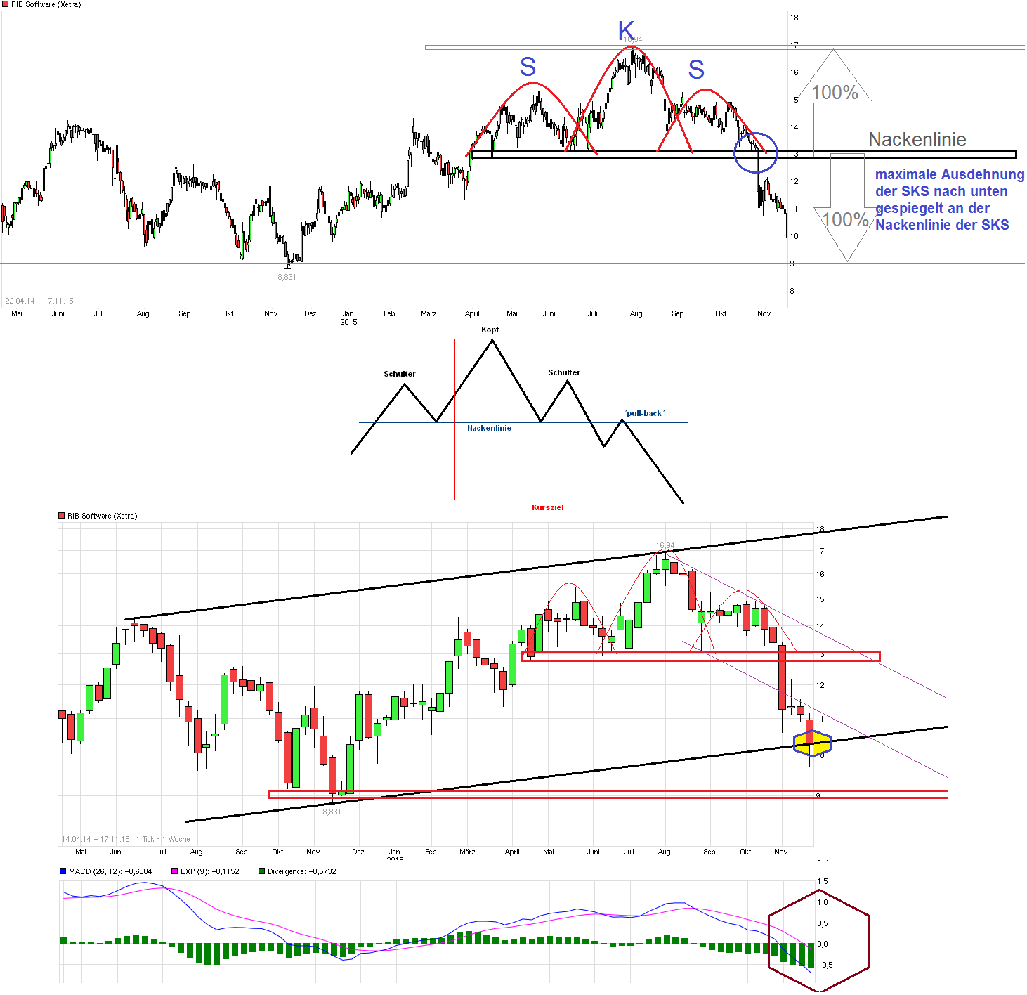 chart_free_ribsoftware---.png