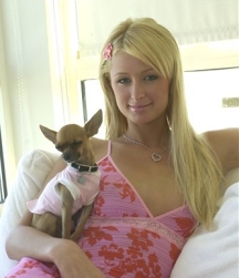 Paris-Hilton.jpg