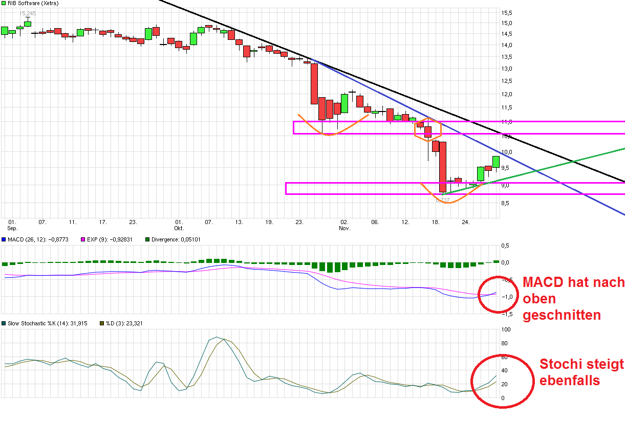 chart_quarter_rib_software.png