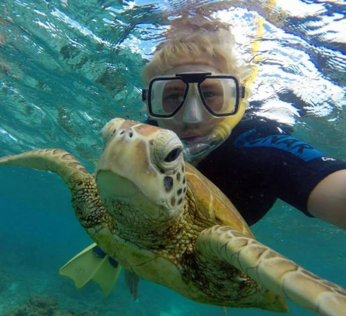 lei_turtle_selfie_700_640_80_s_c1.jpg