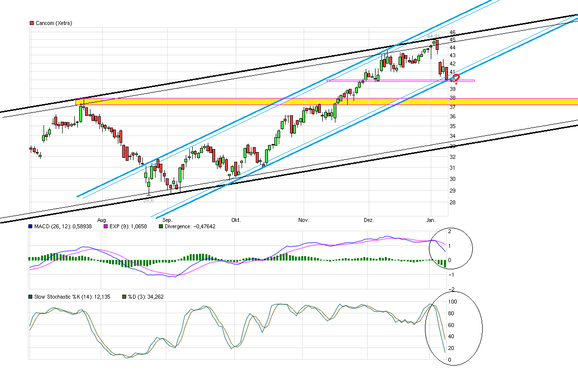 chart_halfyear_cancom.png