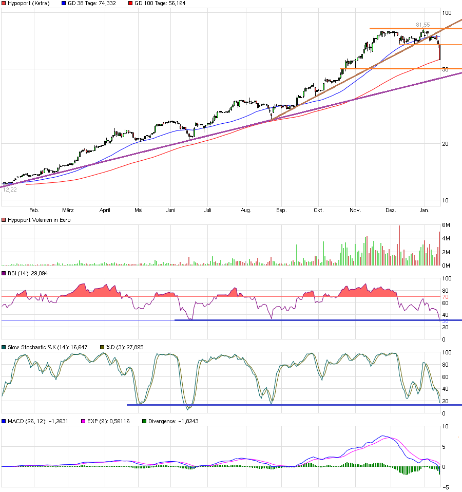 chart_year_hypoport.png