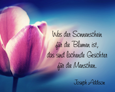 wasdersonnenschein-josephaddison.jpg